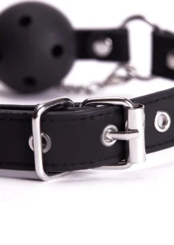 Adjustable Ball Gag & Nipple Clamps