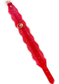 High Gloss PU & Lace Bondage Collar