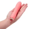 5 Inch Silicone Beginners Vibrator with Removable Bullet