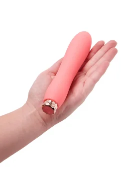 5 Inch Silicone Beginners Vibrator with Removable Bullet