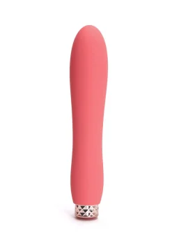 5 Inch Silicone Beginners Vibrator with Removable Bullet
