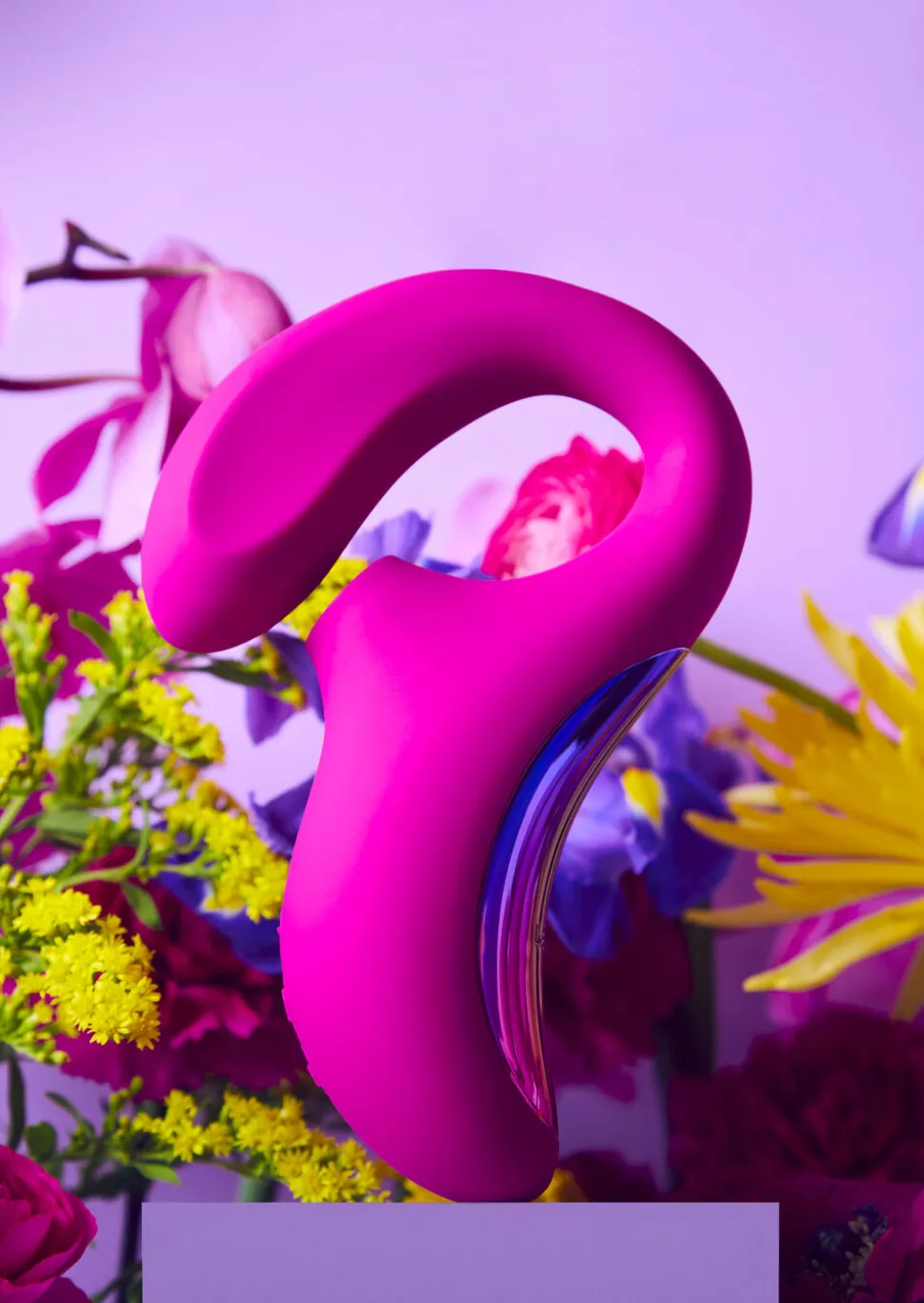 Lelo Enigma