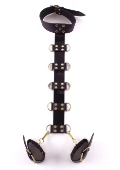 Signature Faux Leather Neck to Wrist Restraint
