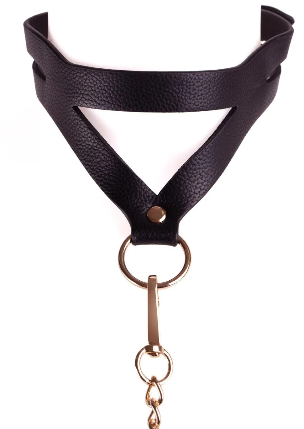 Signature Faux Leather Strappy Collar & Lead