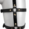 Signature High Shine Leg Harness
